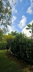 Cove Drive (D4), Detached #457031751